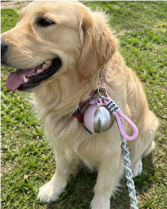 Pet Collective 2-in-1 dog travel water bottle